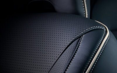 Interior Leather Protection