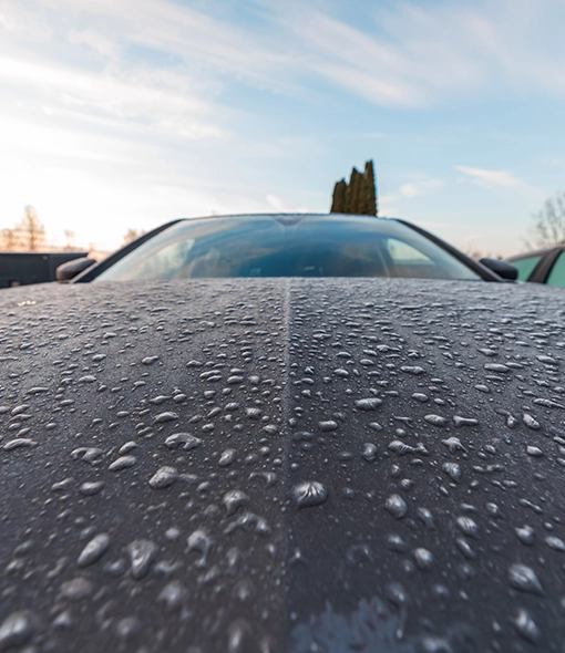 paint protection film installed for Weather protection